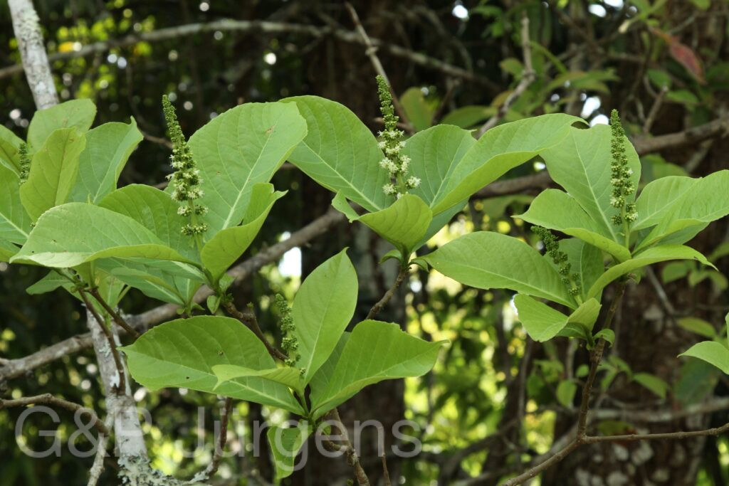 Bhutan2014 678