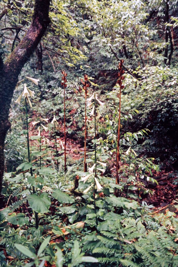 Garh 07 234 ergebnis