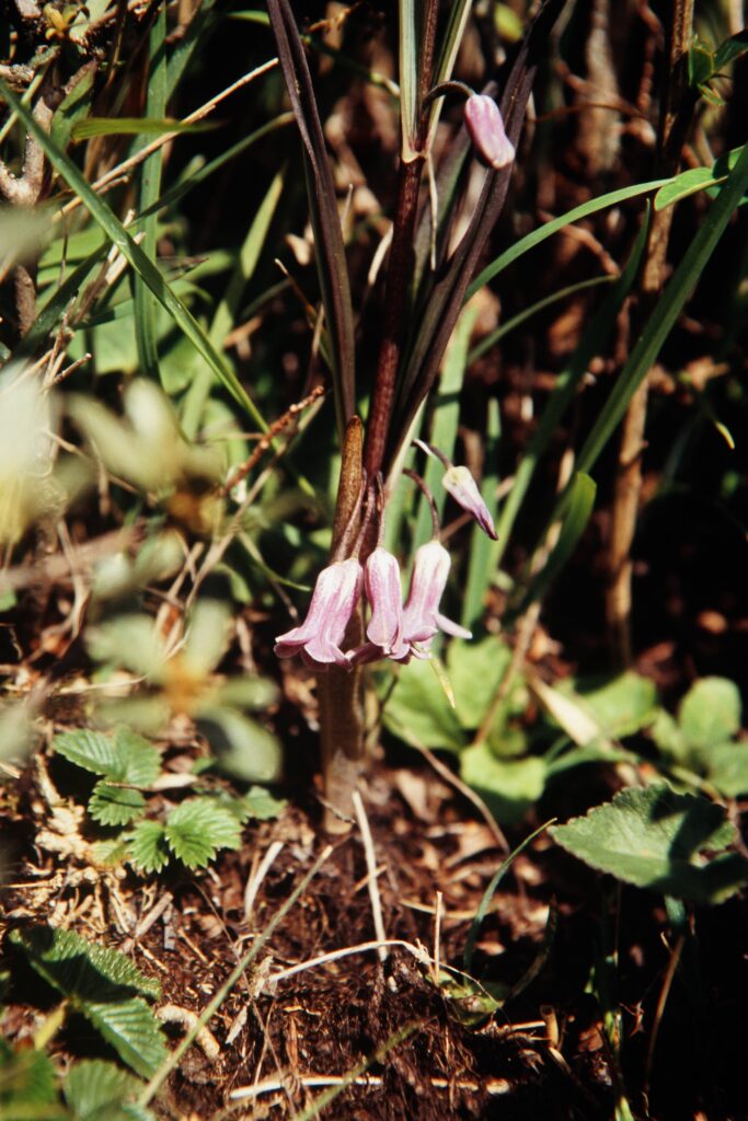Bh09 60 P108 ergebnis