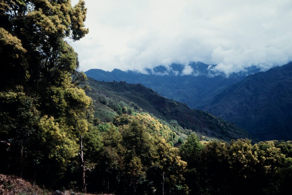 Nepal 97 417 G804 ergebnis