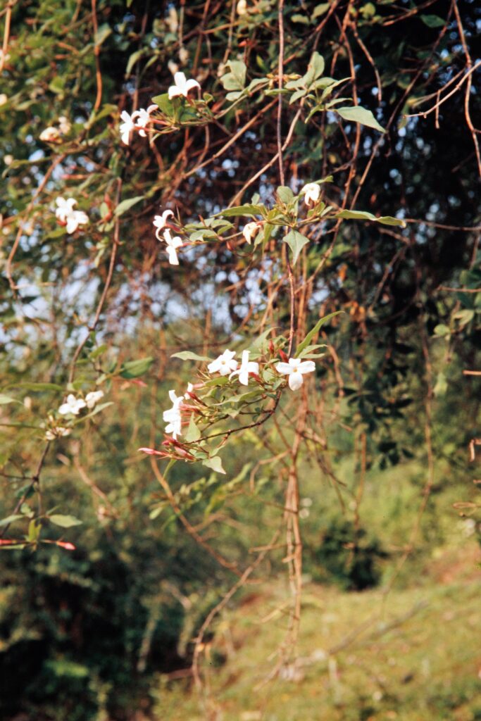 Garh 07 94 ergebnis