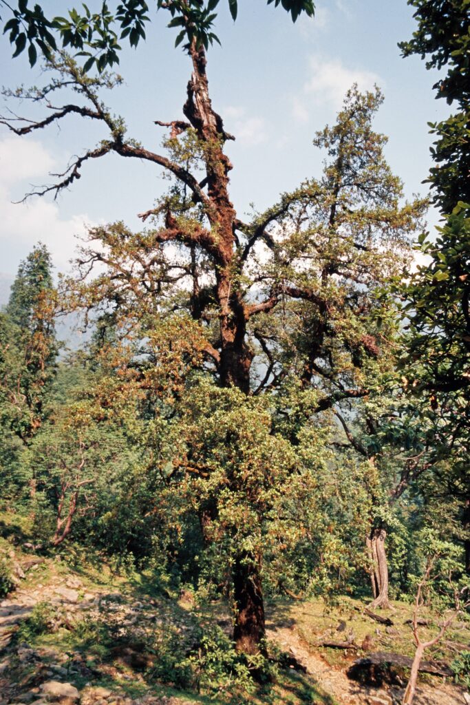Garh 07 97 ergebnis