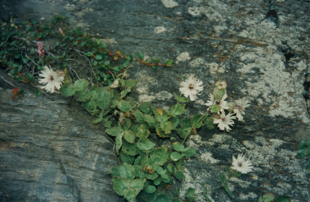 Garw 2005 312 ergebnis